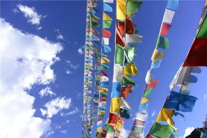 相识于此,相识于此分别于此