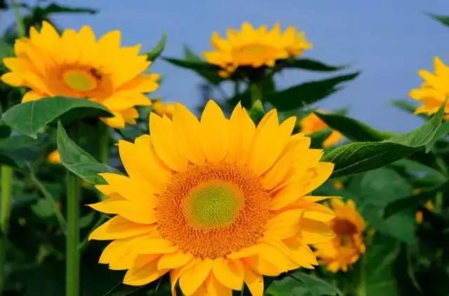 对不起成都，我只能给你90分！