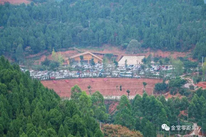 不想上班就去看看大城市,不想上班想去看山和海