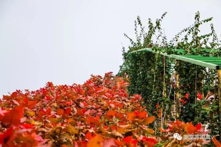 不想上班就去看看大城市,不想上班想去看山和海