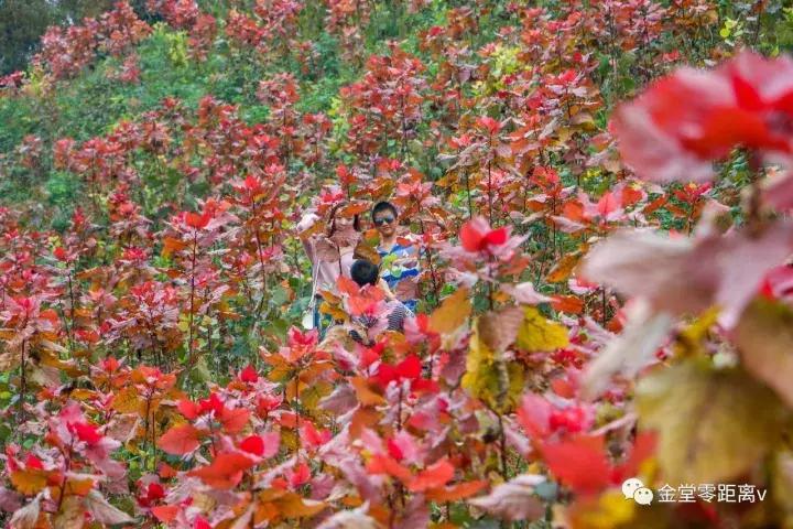 不想上班就去看看大城市,不想上班想去看山和海