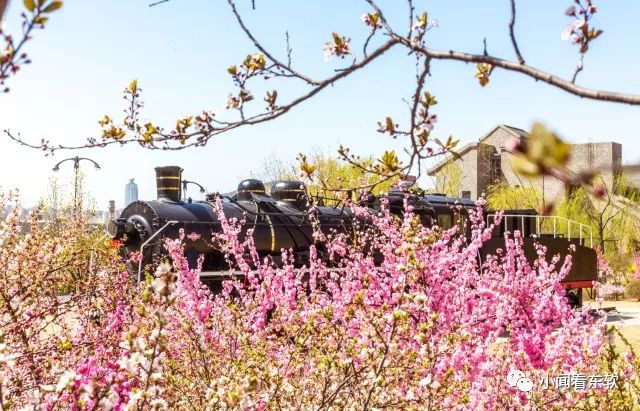 大连东软是本科学校吗,大连东软都有什么院系