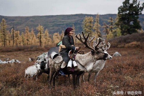 快要灭绝的部落,历史上最神秘的部落