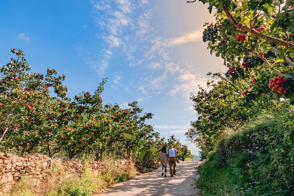 彭泉漫游谷一日游图片,彭泉漫游谷图片