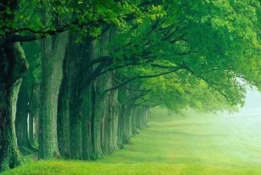 如何快速走出情绪的低谷,怎样快速走出心境低落