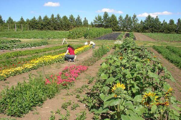 在美国顶尖会计名校就读是怎样的体验？美国大学会计专业真面目