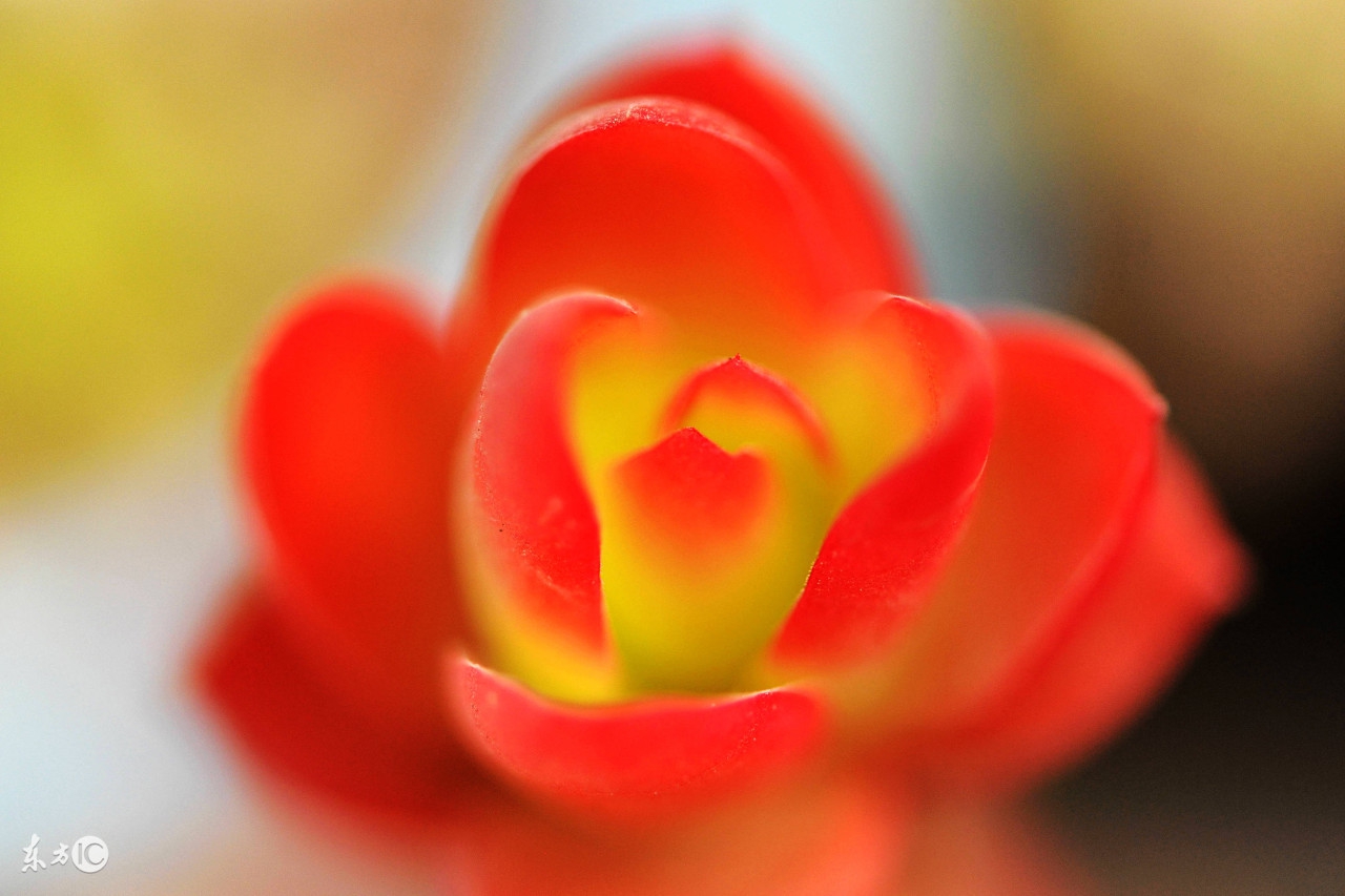 年轻人没钱的时候如何度过,现在年轻人还没钱