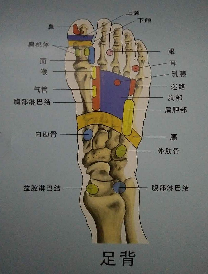 揭开数字疗法的神秘面纱,揭开神秘的面纱案例
