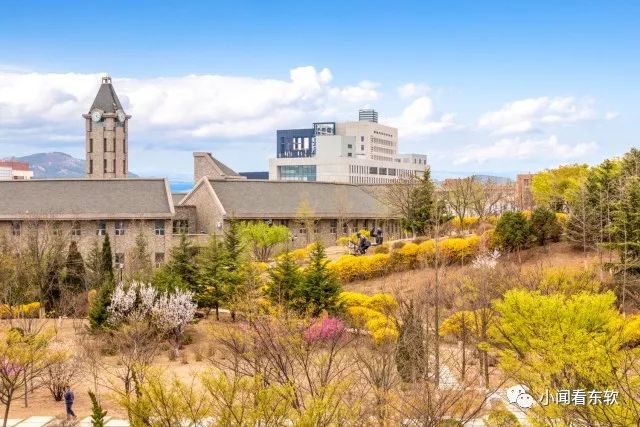 大连东软是本科学校吗,大连东软都有什么院系