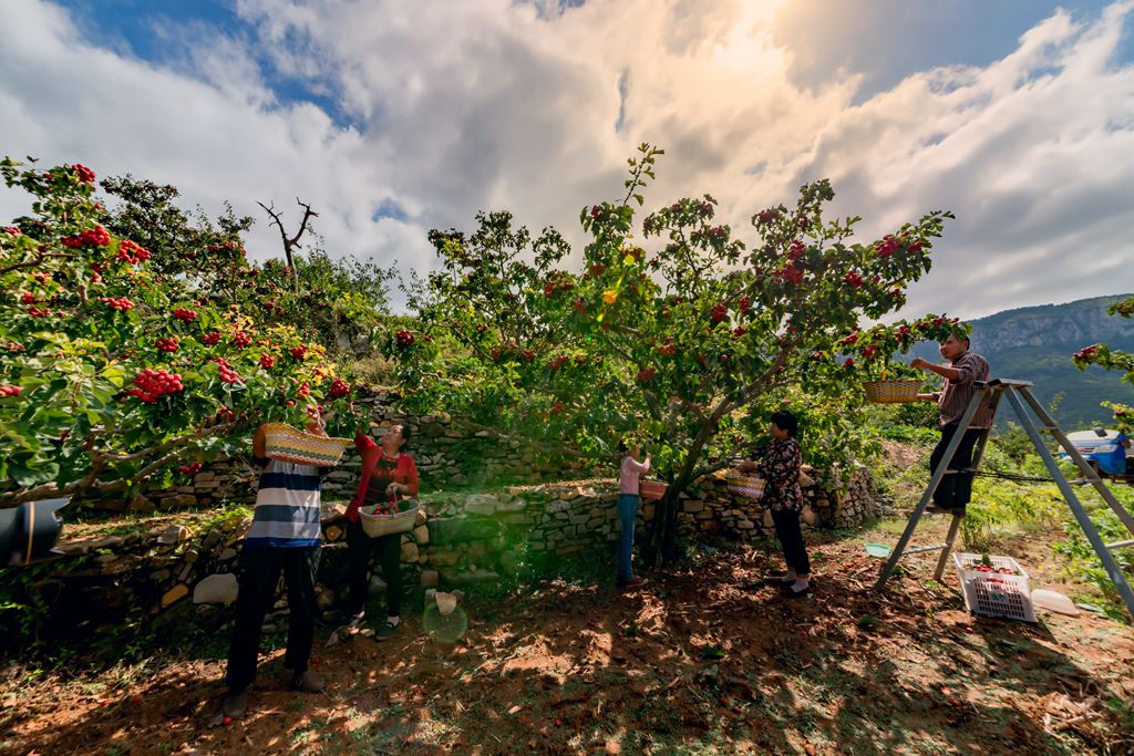 彭泉漫游谷一日游图片,彭泉漫游谷图片