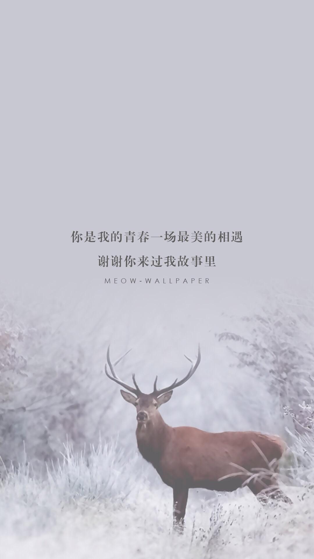 锁屏雨天壁纸动态,我很想你锁屏壁纸