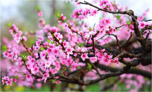 十劝世人大实话完整版,十劝世人大实话