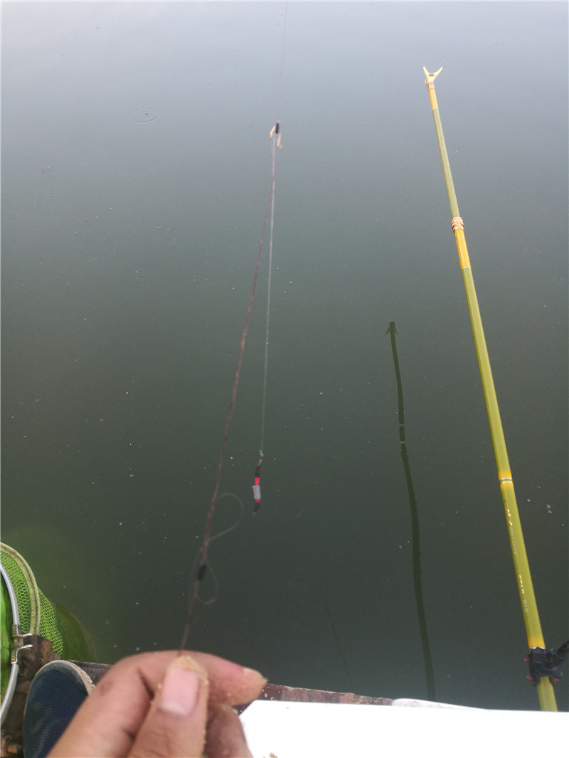 桂林象山区钓鱼黑坑,广西桂林钓鱼黑坑