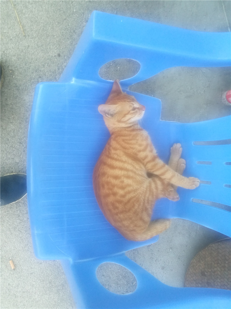 桂林象山区钓鱼黑坑,广西桂林钓鱼黑坑