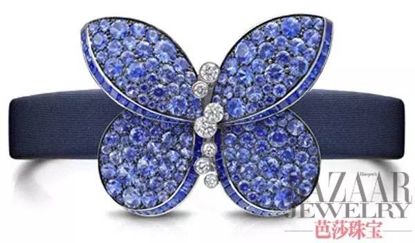 时尚新宠到底有哪些魅力,时尚界的新宠是谁