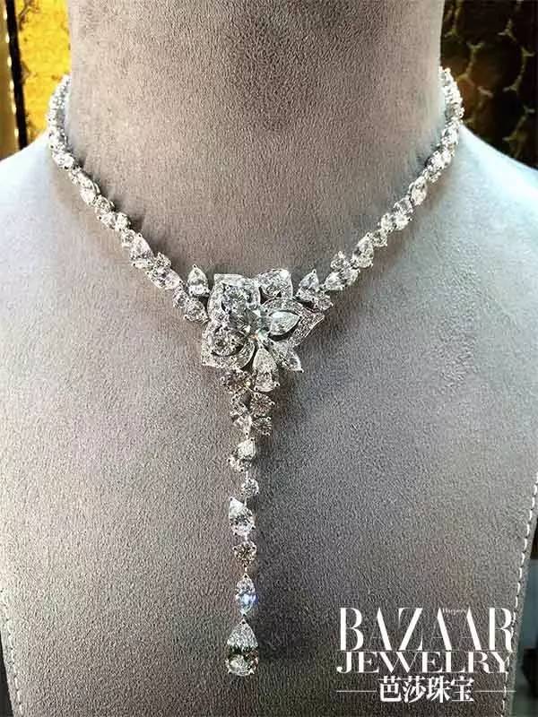 时尚新宠到底有哪些魅力,时尚界的新宠是谁