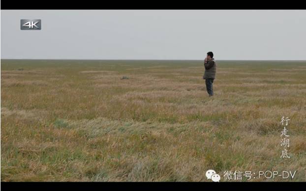 最近一年松下的消息,松下近期新闻