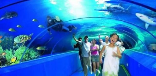 开封东京极地海洋馆,开封东京极地海洋馆团购价格