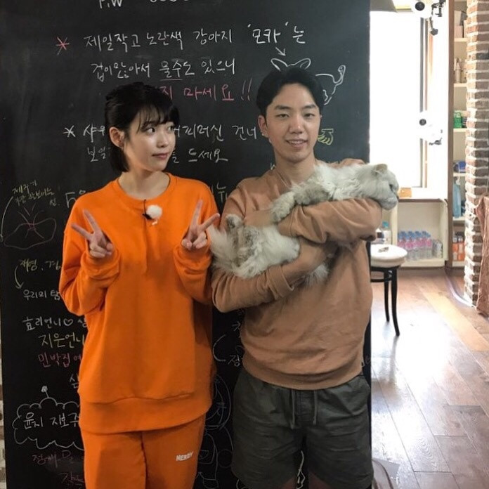 亲爱的客栈被骂上热搜,亲爱的客栈遭吐槽