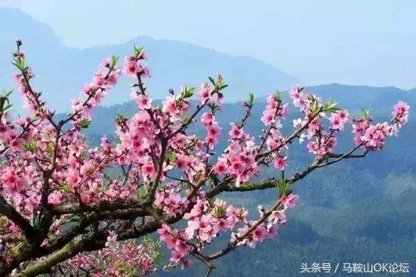 真正的马鞍山照片,马鞍山到底是哪儿的