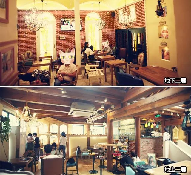 吸猫真的能上瘾吗如何戒瘾,云吸猫有哪些好处