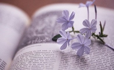 英语语法基础知识大全整理,英语语法基础知识大全完整版