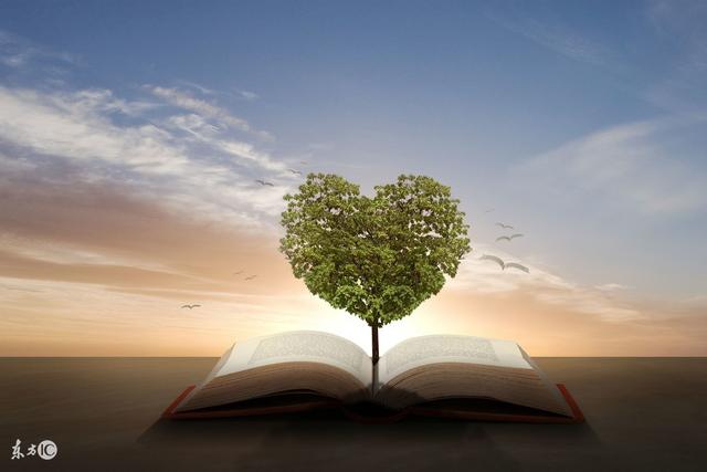 英语语法基础知识大全整理,英语语法基础知识大全完整版