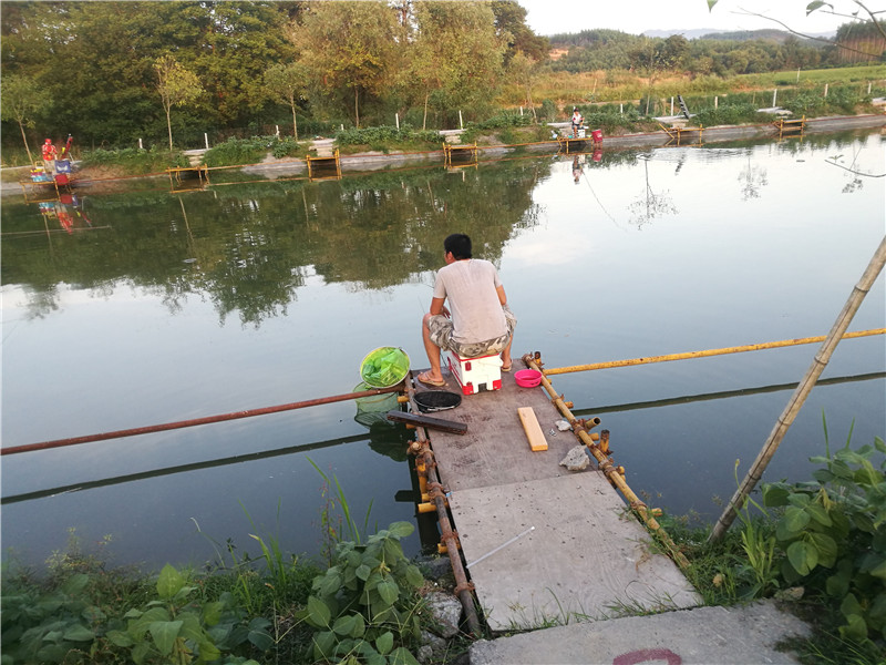 桂林象山区钓鱼黑坑,广西桂林钓鱼黑坑
