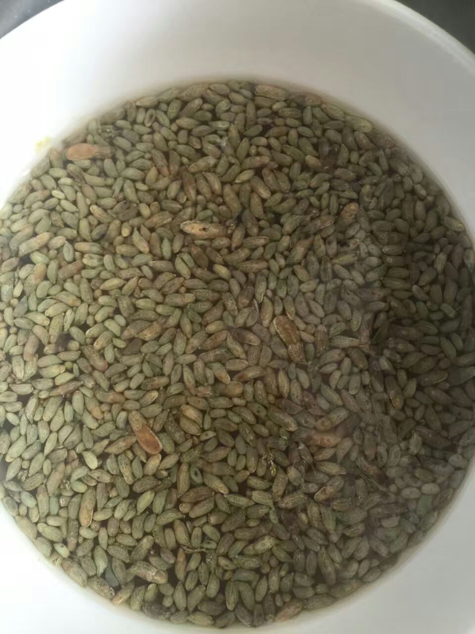 正宗特色甜品槐花粉,灵山槐花粉正宗做法