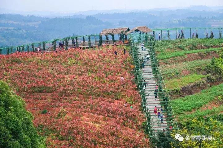 不想上班就去看看大城市,不想上班想去看山和海