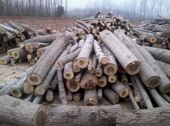 俄罗斯杨木板材优缺点,好太太杨木芯板材