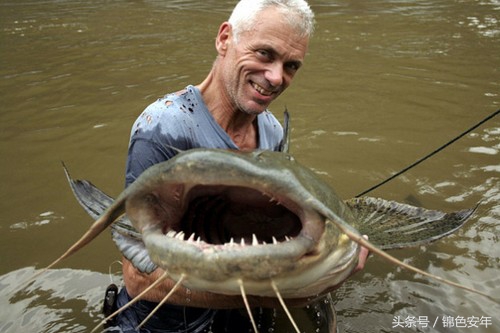 世界最致命的鱼,世界上最危险的鱼