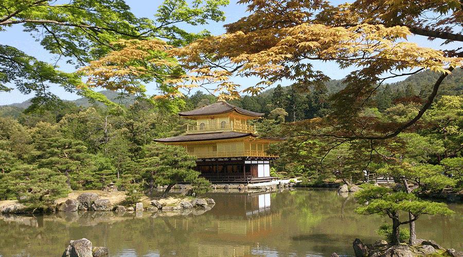 赴日本必买的东西,日本大阪六天自由行详细攻略