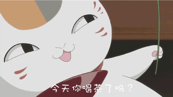 如何撬开一饼普洱茶,手把手教程