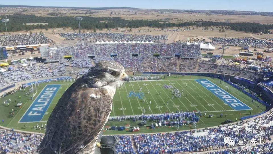 美国最豪华的军校,美国军校有哪些