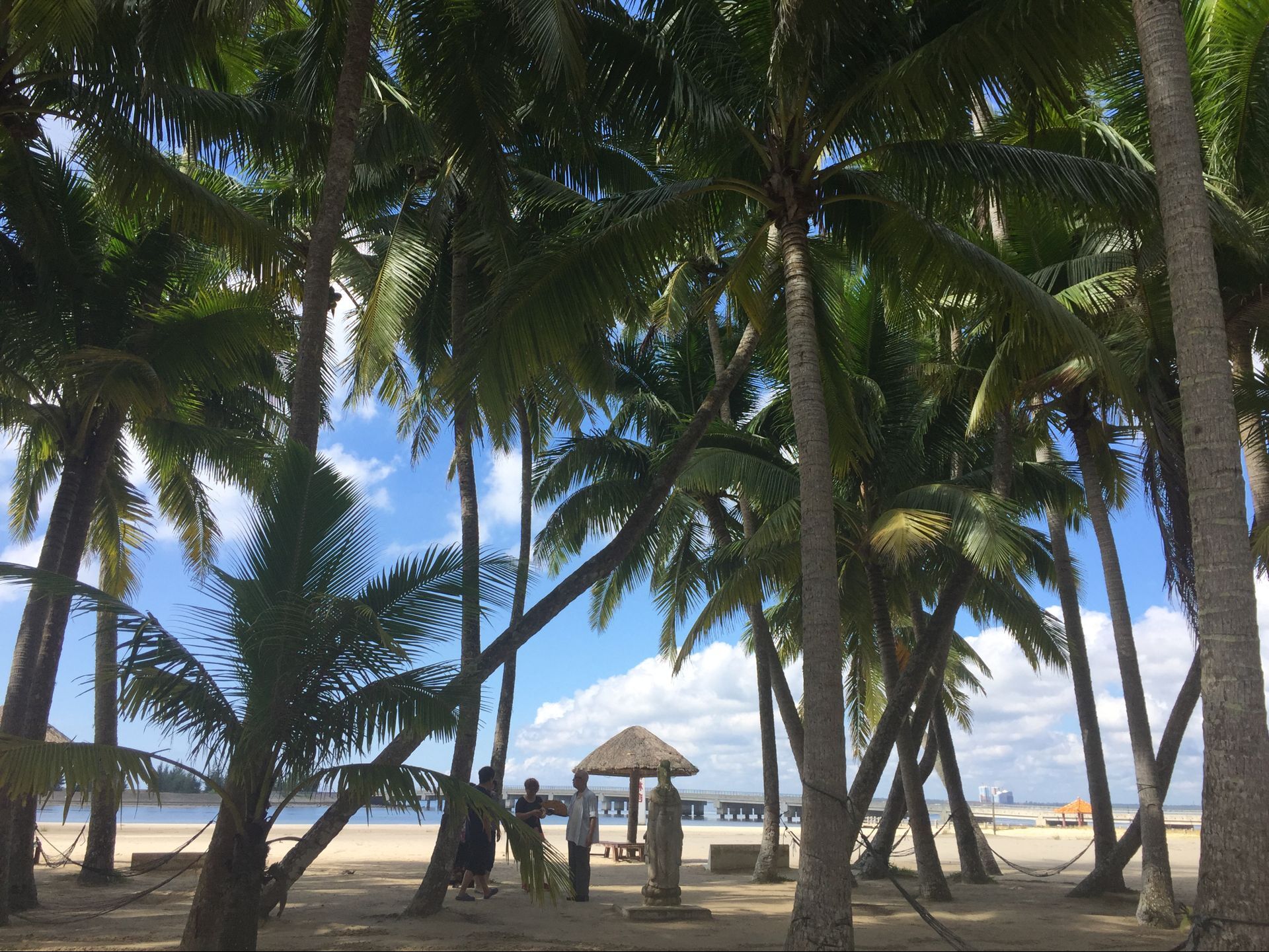 候鸟在海南过冬怎么在网上找房子,北方候鸟海南过冬