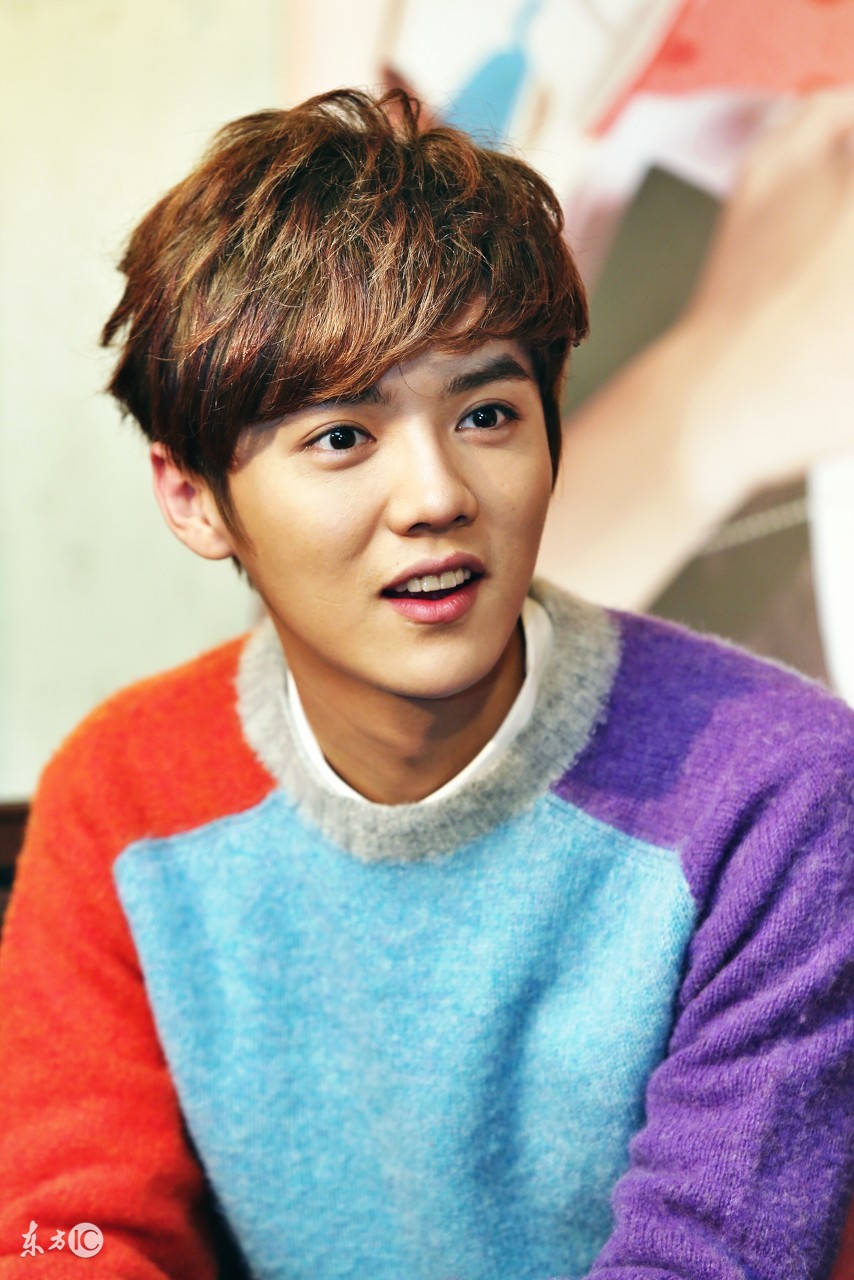 鹿晗是因为什么出名的,鹿晗现象及影响力