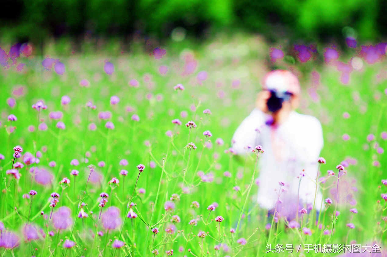 三分线构图与黄金构图区别,16种构图法怎么拍