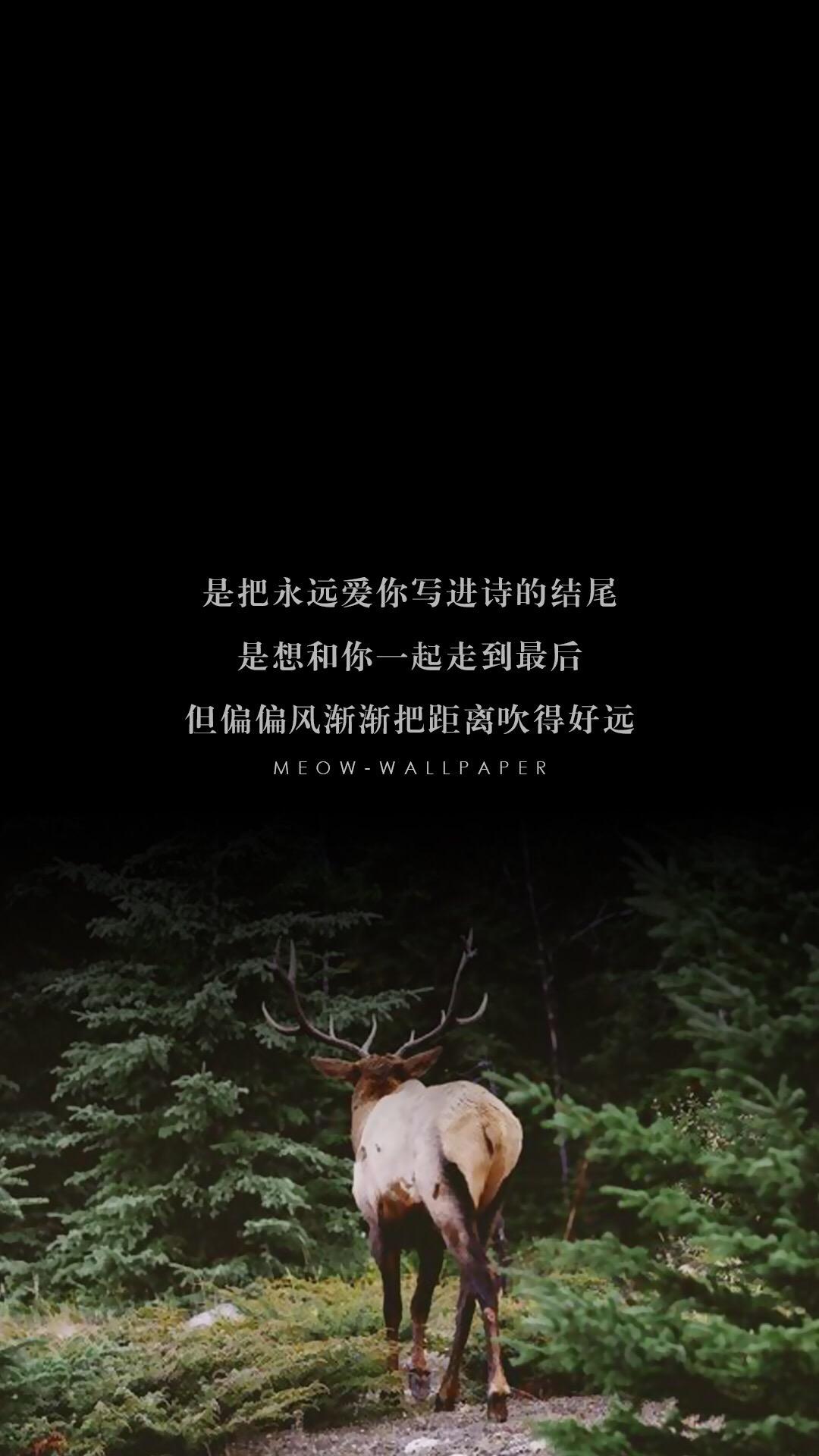 锁屏雨天壁纸动态,我很想你锁屏壁纸