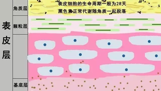 祛疤膏真的去不了增生吗,疤痕三四年了用祛疤膏能淡化吗