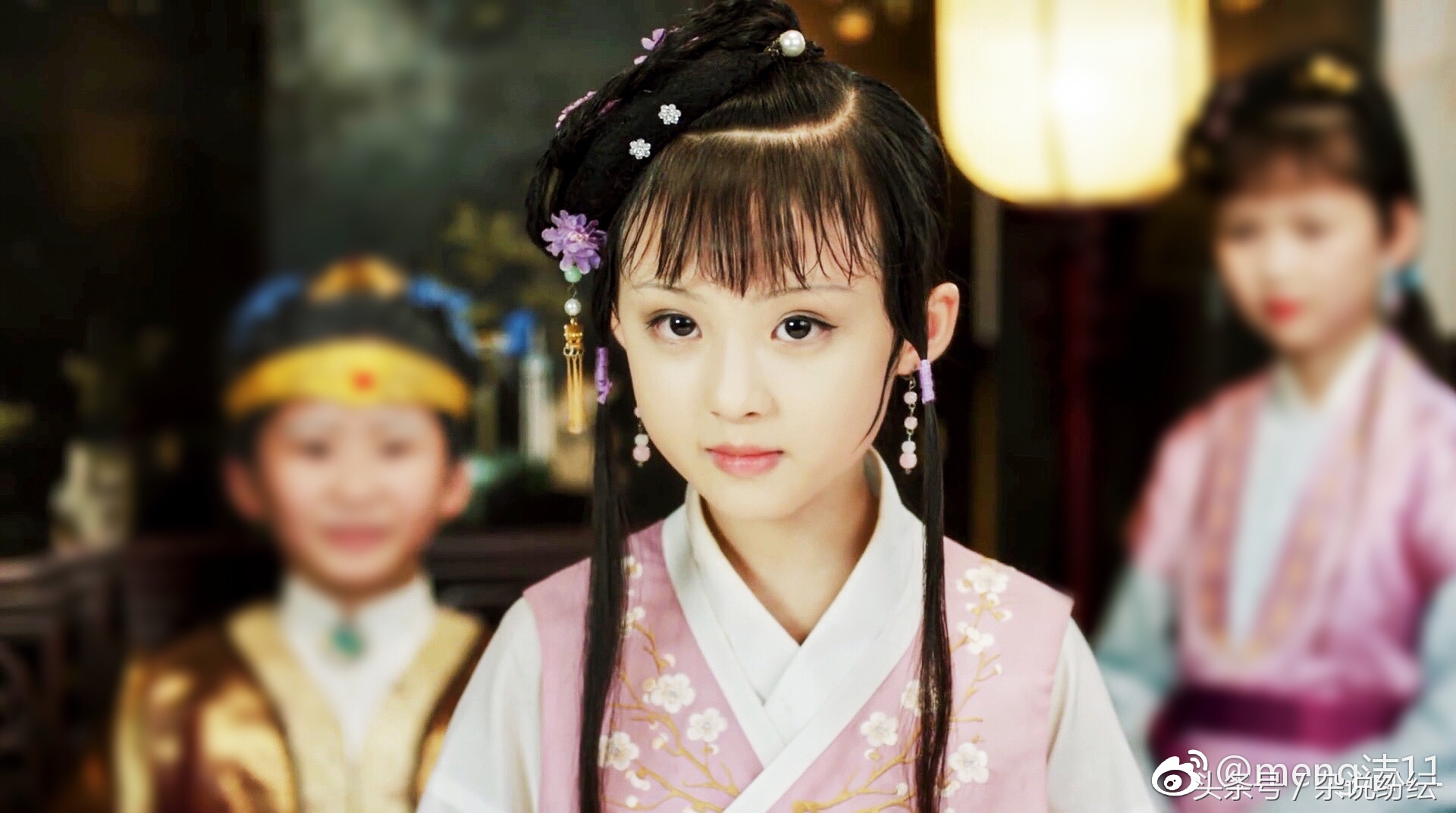 红楼梦小戏骨长大后拍的剧叫什么,小戏骨儿童版红楼梦