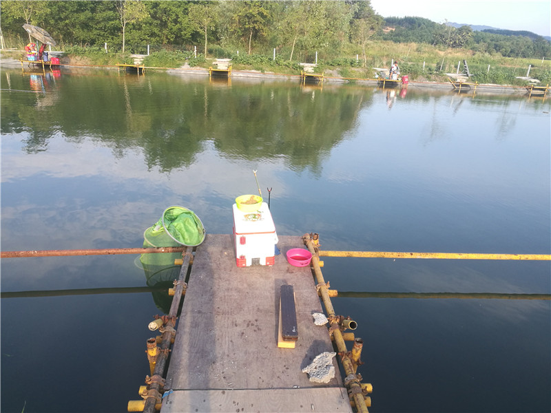 桂林象山区钓鱼黑坑,广西桂林钓鱼黑坑