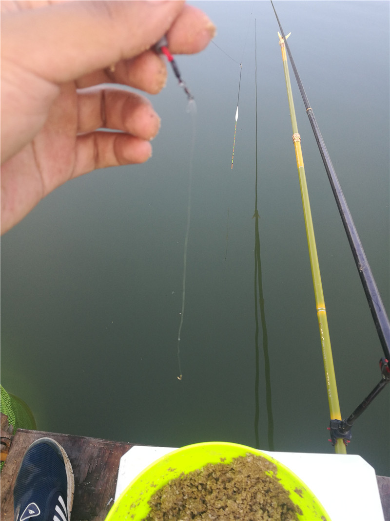 桂林象山区钓鱼黑坑,广西桂林钓鱼黑坑