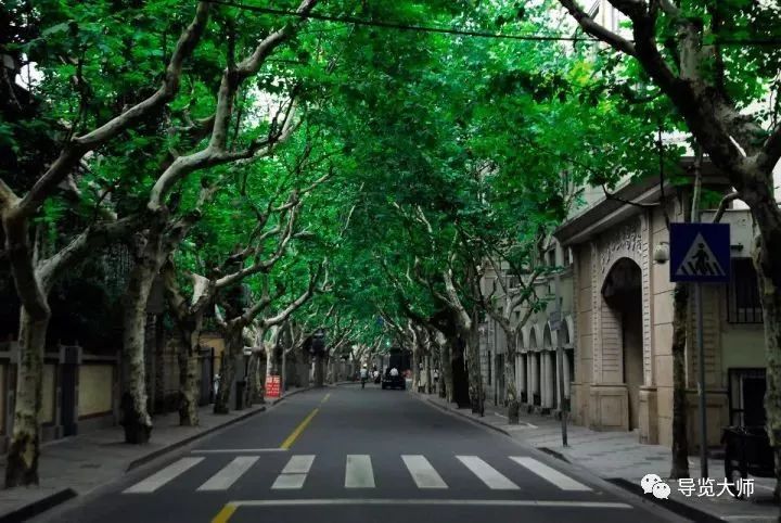 在上海看到家乡地名,在上海找到家乡的路