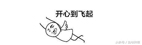 鹿晗给关晓彤买的表,鹿晗买一万二千颗宝石做的手表