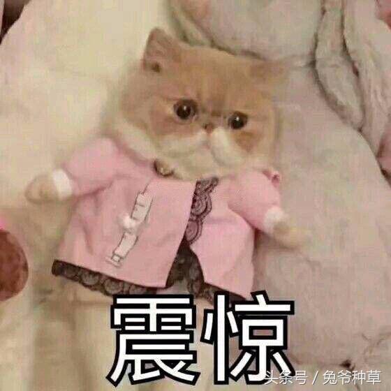 鹿晗给关晓彤买的表,鹿晗买一万二千颗宝石做的手表