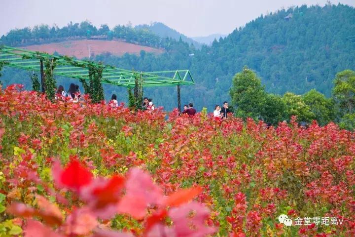 不想上班就去看看大城市,不想上班想去看山和海