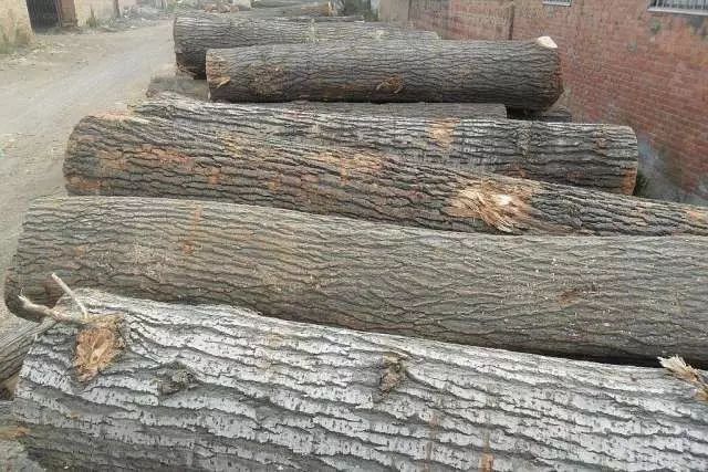 俄罗斯杨木板材优缺点,好太太杨木芯板材