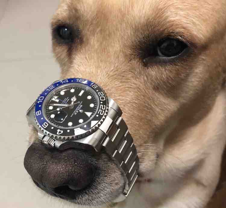 为何复刻表沦为高端人士的玩具?背后真实原因令人不胜唏嘘!