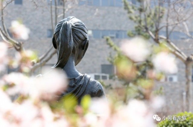 大连东软是本科学校吗,大连东软都有什么院系